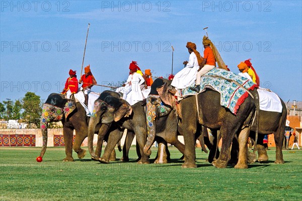 Elephant polo at Holi festival