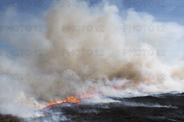 Heather burning on a Grouse Moor in the Yorkshire Dales