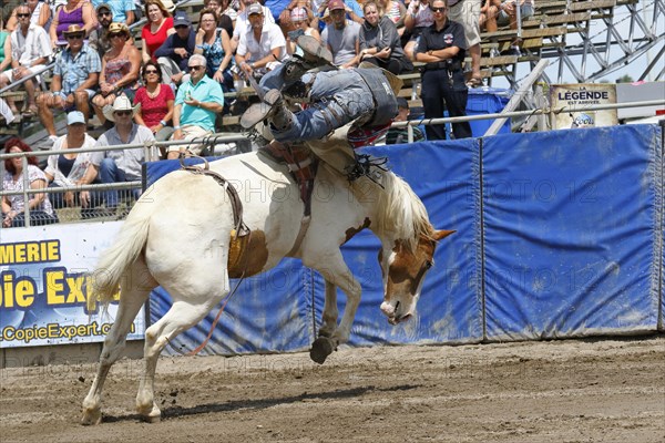 Rodeo competition