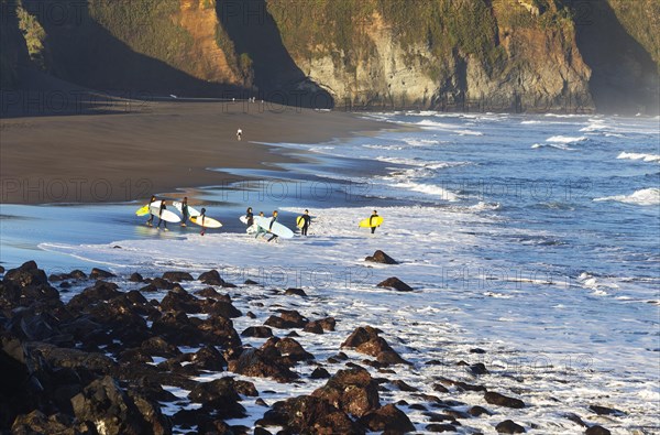 Surfers on the sandy beach Praia de Santa Barbara near Ribeira Grande