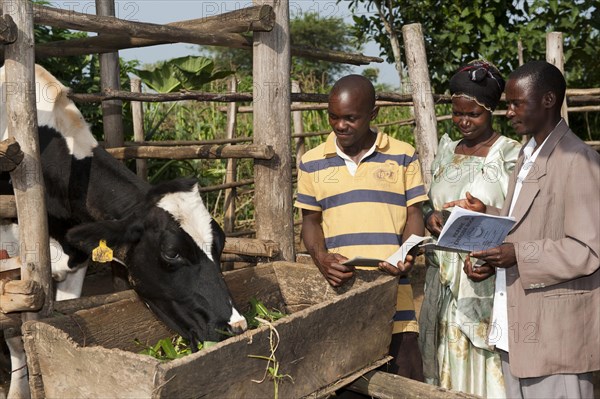 Farmer with adviser looking at milk records for dairy cow