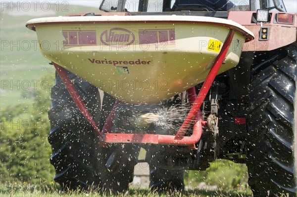 Speading fertiliser on a traditional Dales meadow with a Case International tractor. Hawes