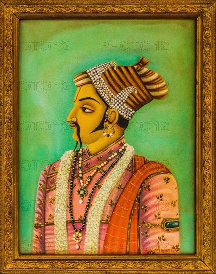Paintings of Maharajas in the City Palace