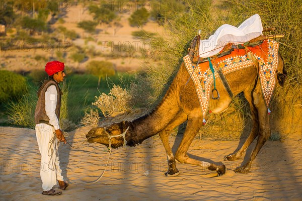 Horseback riding on dromedaries