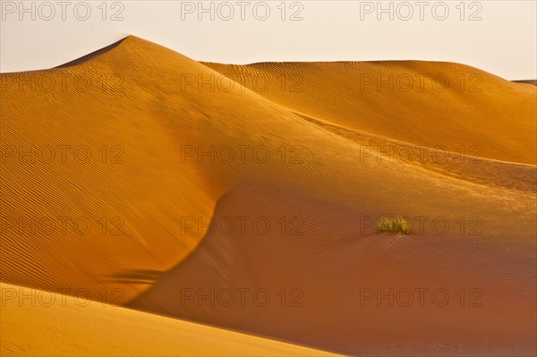 Sand Dunes