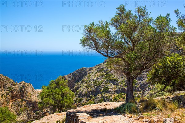 Hike to the Bear Cave overlooking the Mediterranean Sea