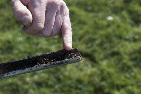 Agricultural expert taking soil samples for testing off a pasture in the Yorkshire Dales