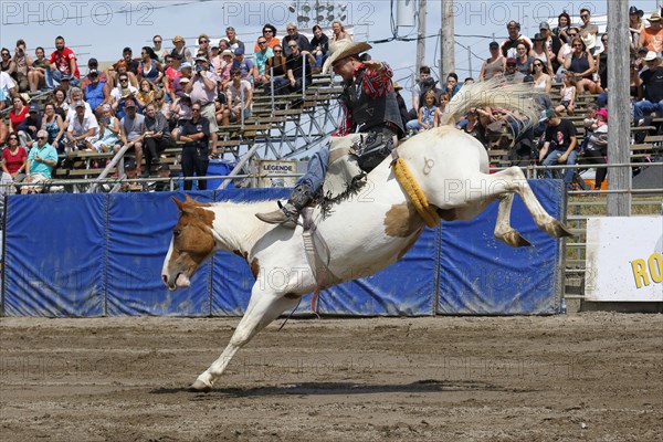 Rodeo competition