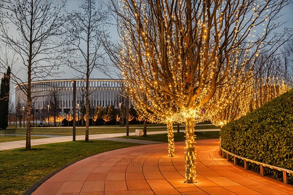 Night illumination in autumn Park