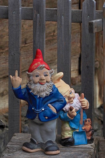 Garden gnome gives the finger