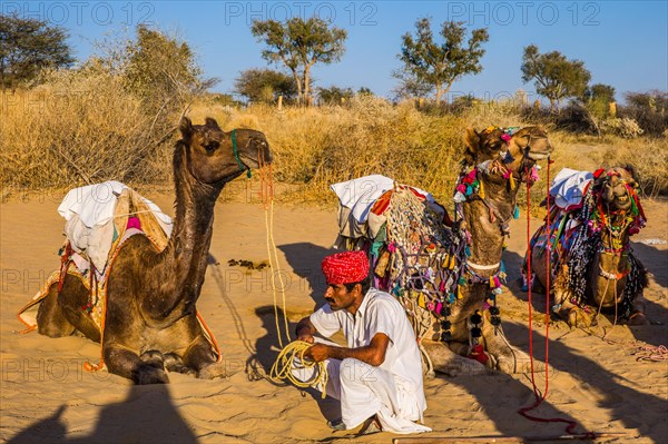 Horseback riding on dromedaries