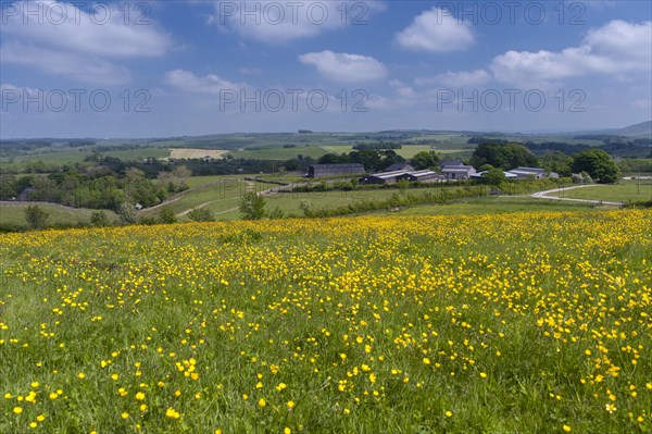 Farmstead set in Forest of Bowland