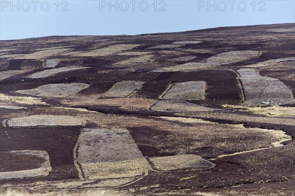 Patchwork moorland