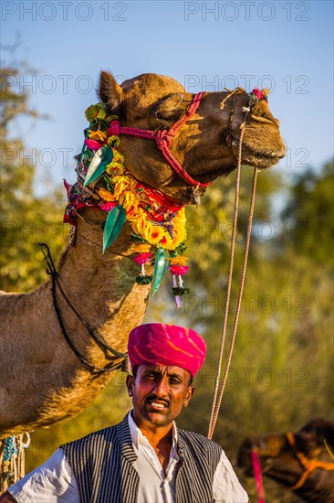 Horseback riding on dromedaries