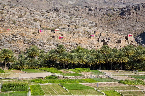 Oasis on the mountain massif of Jabal Akhdar