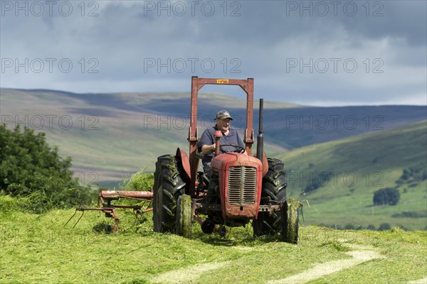 Farmer in Wensleydale turning grass to make hay with a vintage Massey Ferguson tractor. Hawes