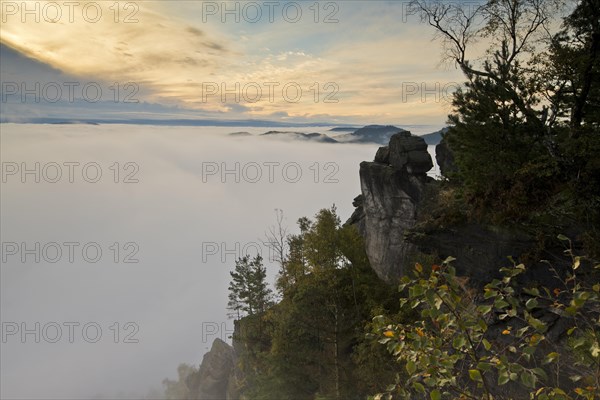 Fog in the Elbe valley