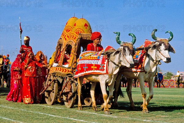 Festive parades with camels and elephants