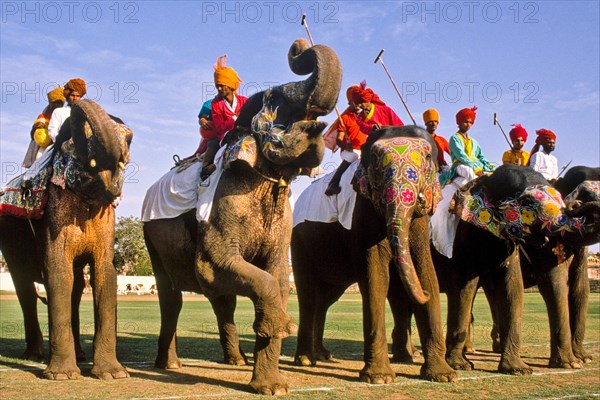 Elephant polo at Holi festival