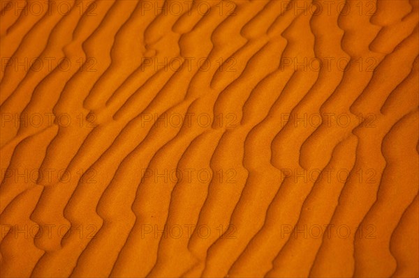 Sand Dunes