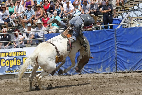 Rodeo competition