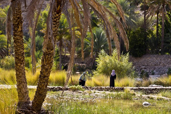 Paradise Wadi Bani Khalid