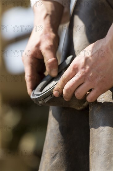 Farrier cold shoeing a horse. North Yorkshire