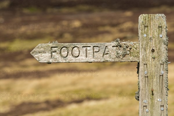 Lichen covered footpath sign on heather moorland