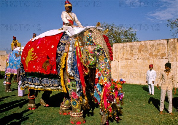 Festive parades with camels and elephants