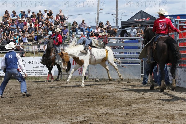 Rodeo competition