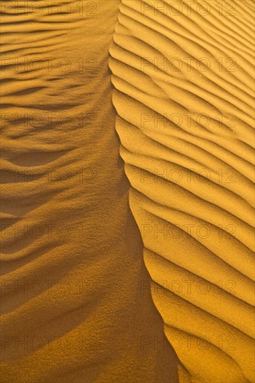 Sand Dunes