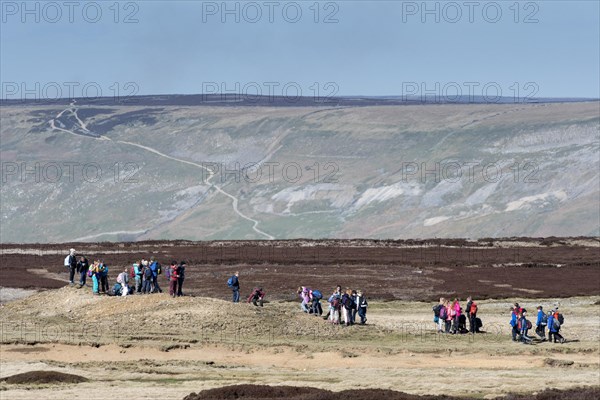 Large group og hikers walking over a moor