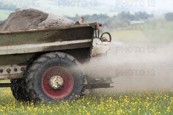 Spreading lime on an Dales dillower meadow to increase the soils fertility. Yorkshire Dales