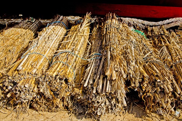 Natural sealing material for dhows