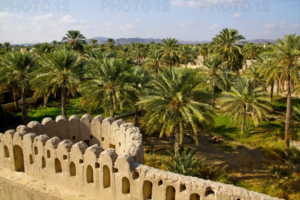 View of fortress wall and oasis from Nizwa Fort