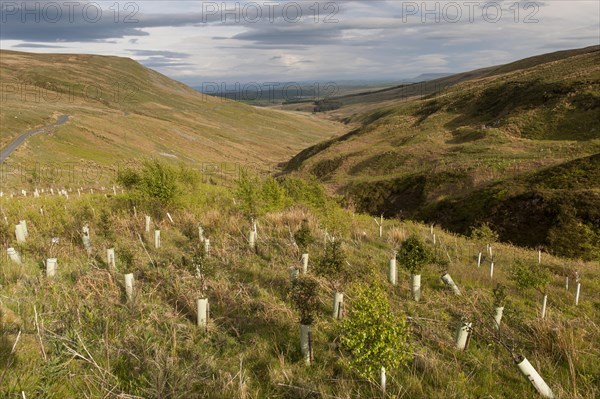 Looking down the Upper Hodder Valley from the Lythe Fell road above Slaidburn in the Forest of Bowland