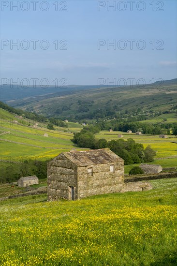 Looking down Swaledale from above Thwaite