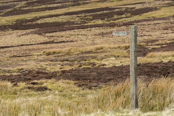 Lichen covered footpath sign on heather moorland