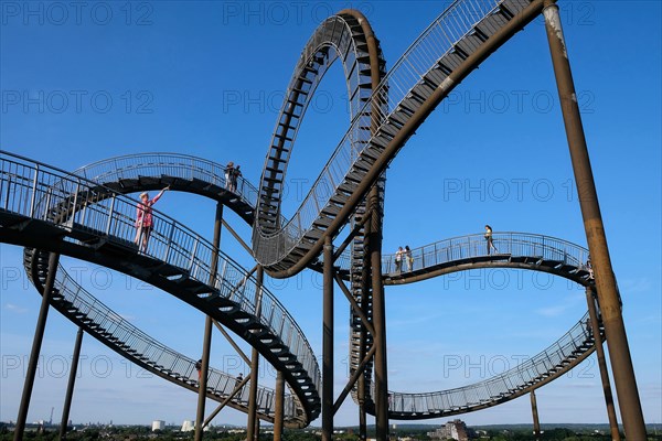 Large sculpture Tiger and Turtle - Magic Mountain