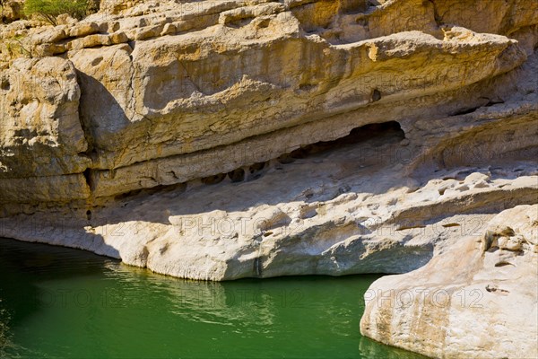 Water pool