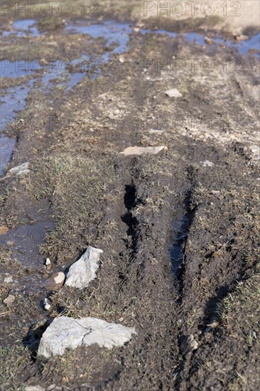 Erosion damage on an upland moor from vehicles and walkers. Swaledale