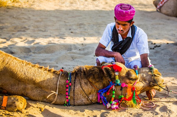 Horseback riding on dromedaries