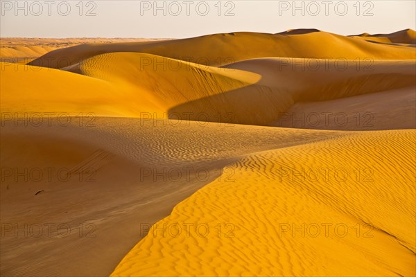 Sand Dunes