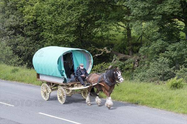 Gypsy travellers with horse drawn caravan on the A683 near Cautley