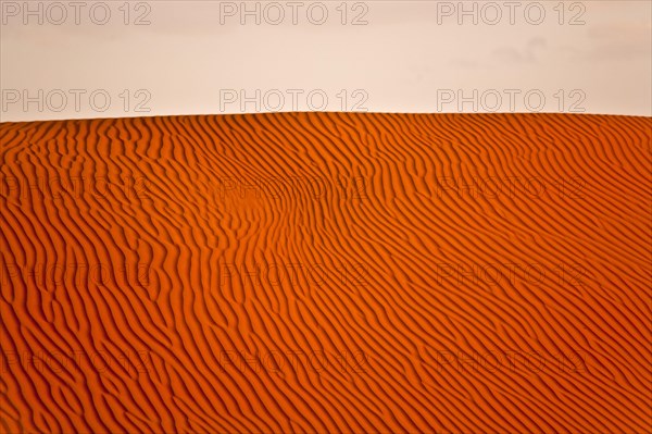 Sand Dunes