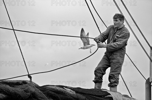 Fisherman with seagull