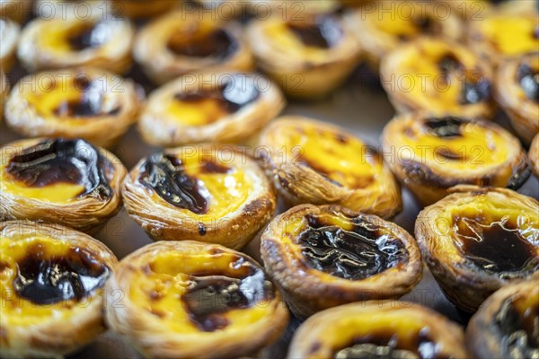 Close-up of many pastel de nata