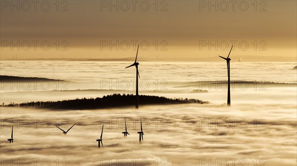 Forest and wind turbines rising from cloud cover