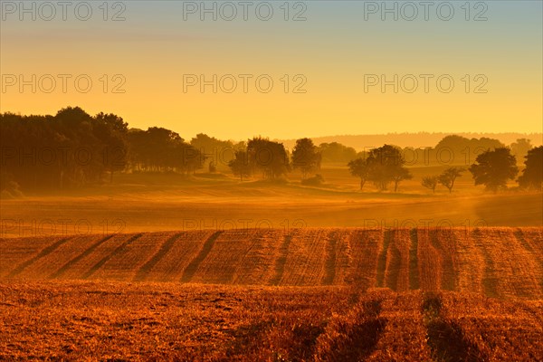 Stubble field at sunrise in the first morning light