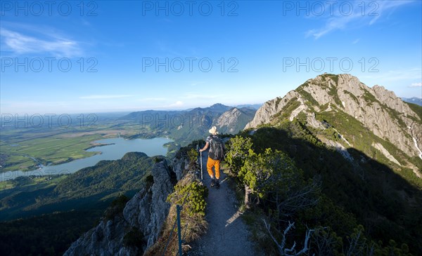 Hiker on a hiking trail between mountain pines